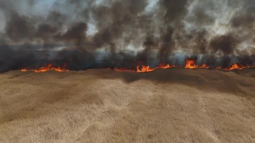 Edirne'de çiftçinin bir yıllık emeği küle döndü: Tarlada çıkan yangın böyle...