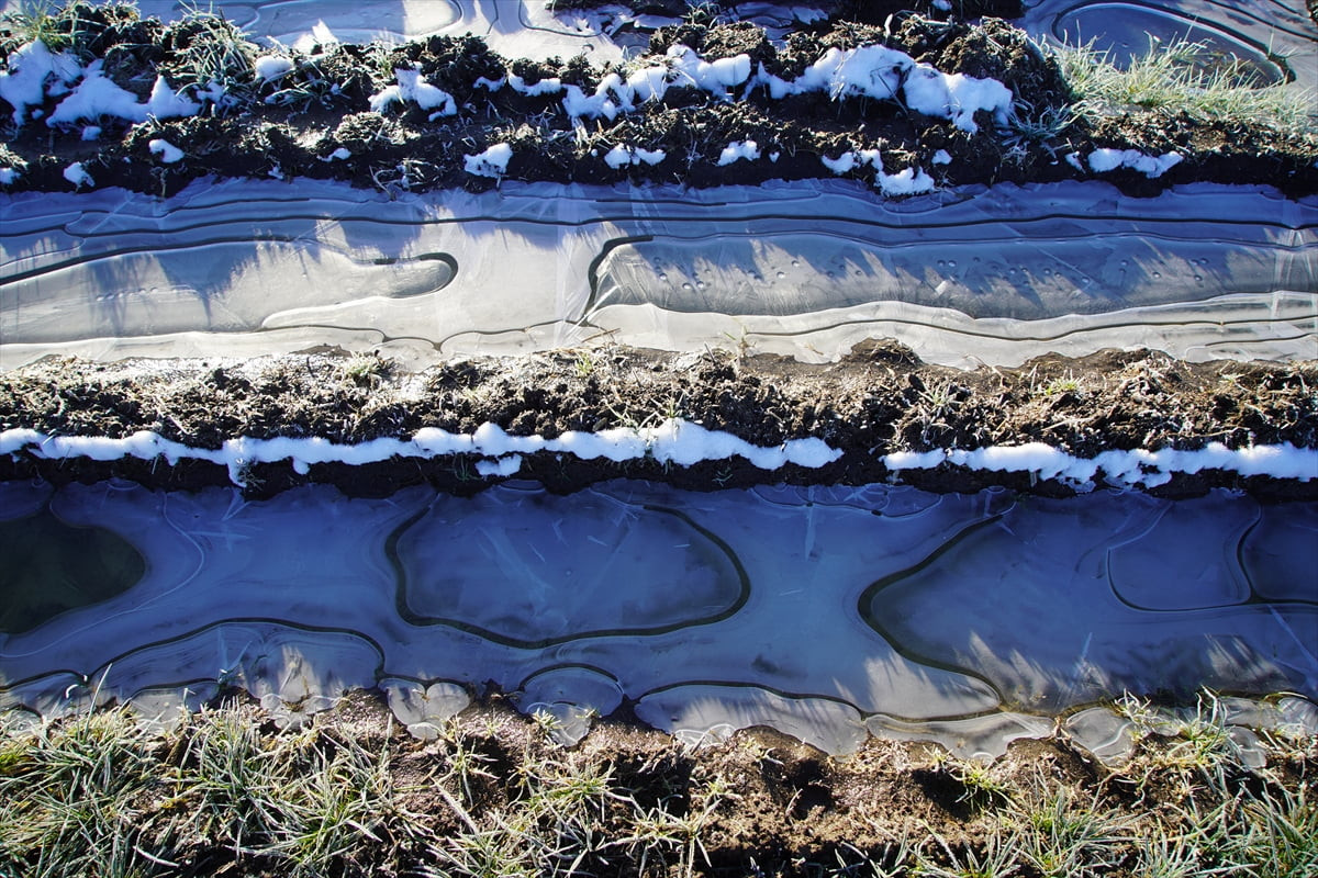 Edirne'de dün etkisini yitiren kar yağışı yerini soğuk havaya bıraktı. Hava sıcaklığının gece...