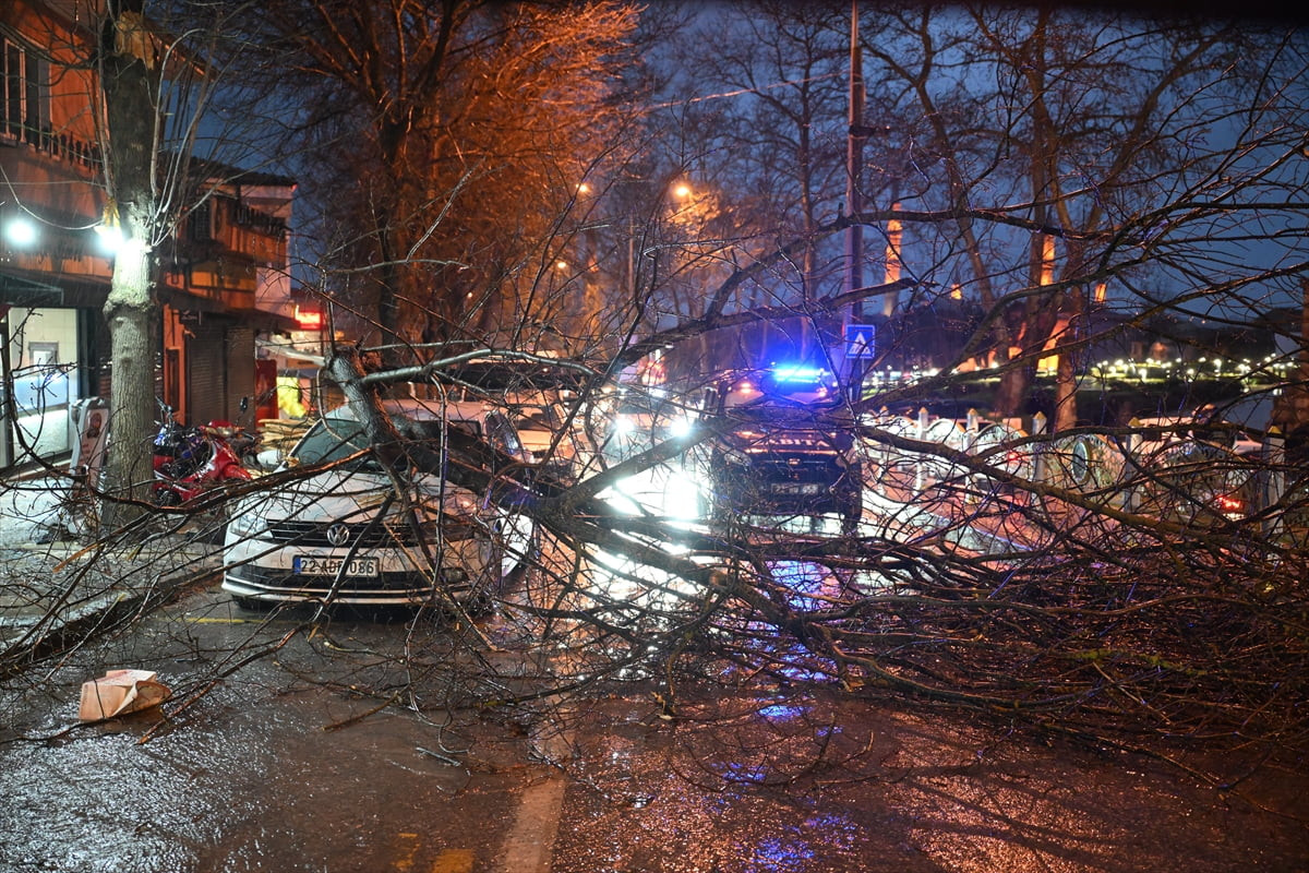 Edirne'de fırtına nedeniyle bazı ağaçlar devrildi, bir otomobil zarar gördü.