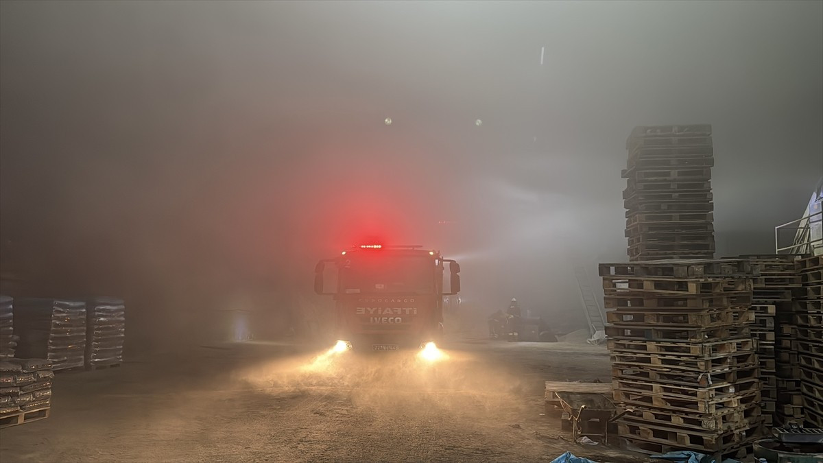 Edirne'de palet fabrikasında çıkan yangın itfaiye ekiplerince söndürüldü. Fabrikanın içinde ve...