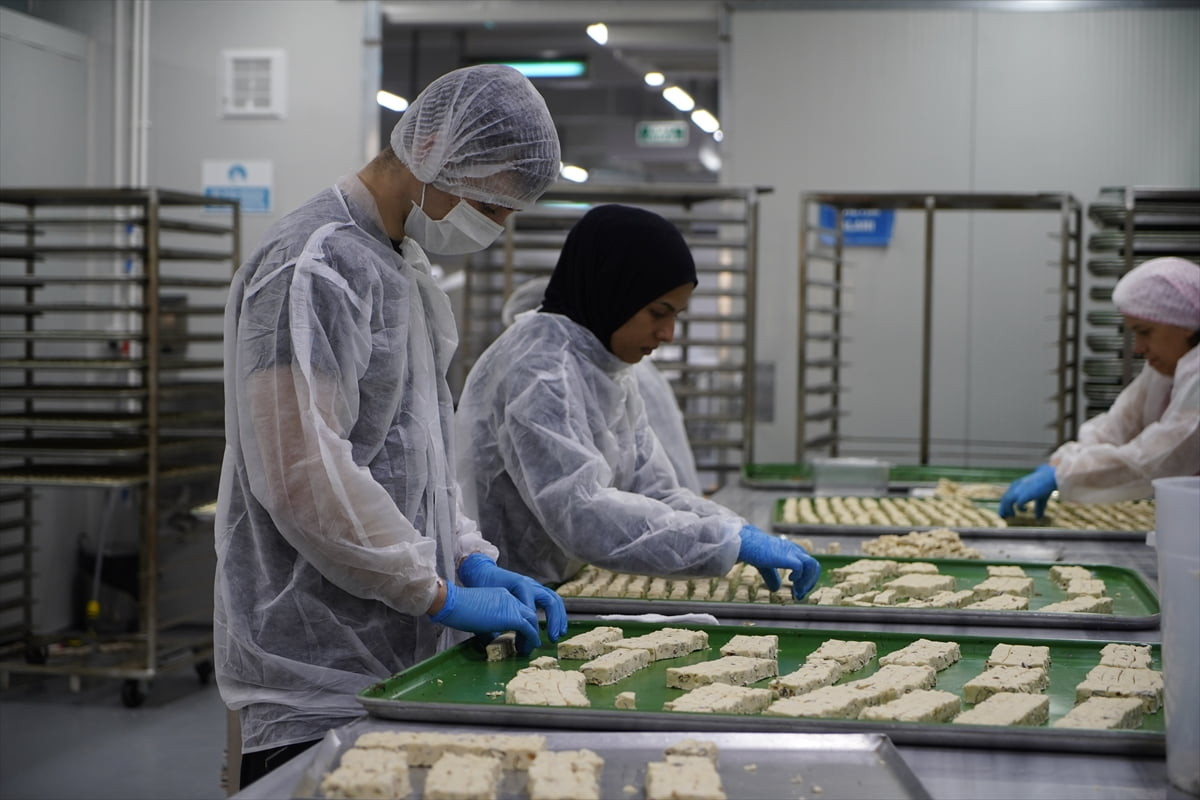 Edirne'de Ramazan Bayramı öncesi şekerlemecilerde yoğun mesai yaşanıyor. Osmanlı saray mutfağının...