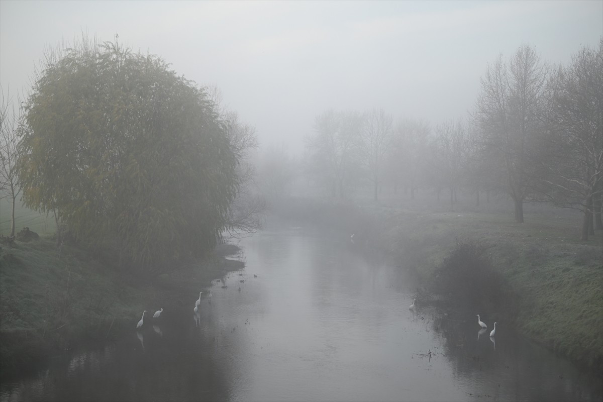 Edirne'de yoğun sis etkili oldu.