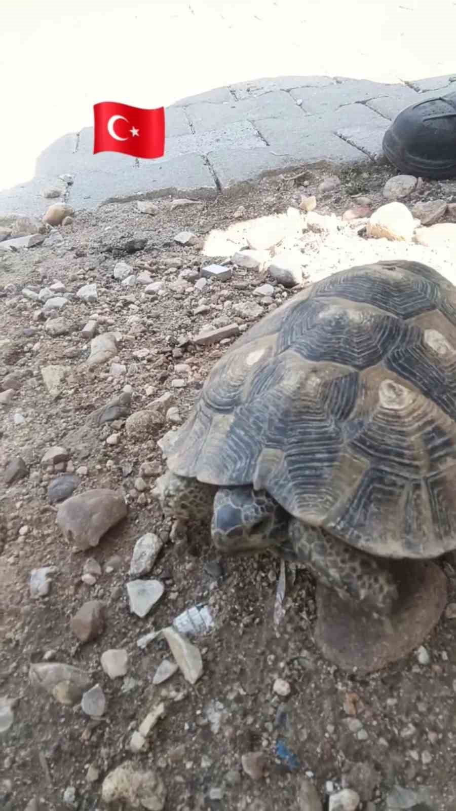 EDİRNE’DE ÇEVRE HAFTASI ETKİNLİKLERİ SÜRERKEN, DOĞAYA VERİLEN ÖNEMİN EN GÜZEL ÖRNEKLERİNDEN BİRİ...