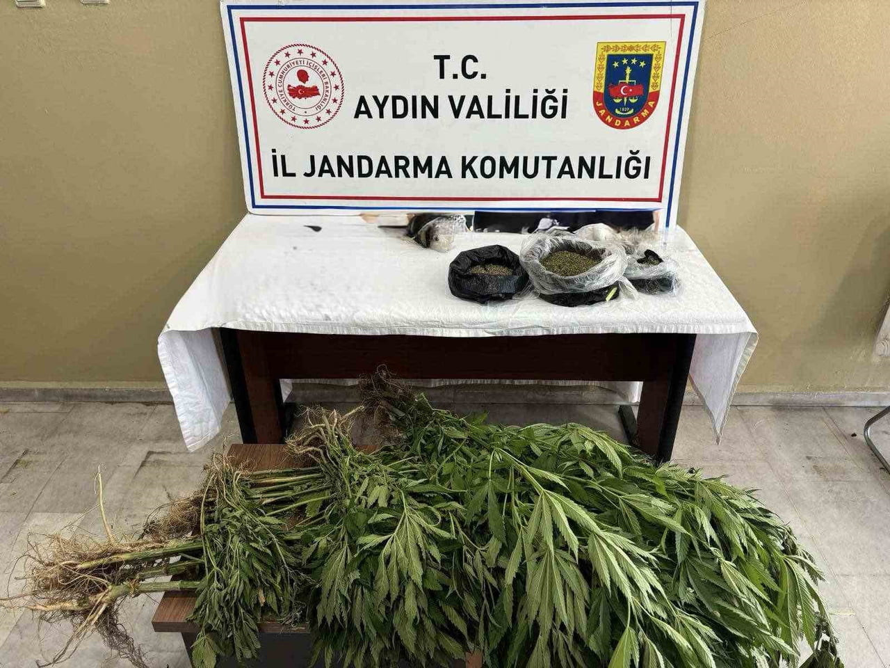 EFELER’DE UYUŞTURUCU OPERASYONU