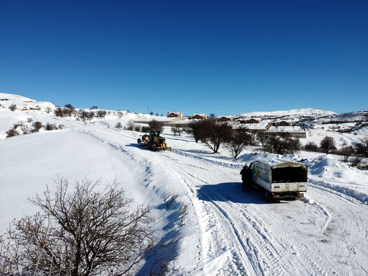 Elazığ Belediyesi Veteriner İşleri Müdürlüğü ekipleri, soğuk hava ve kar yağışı nedeniyle yiyecek...