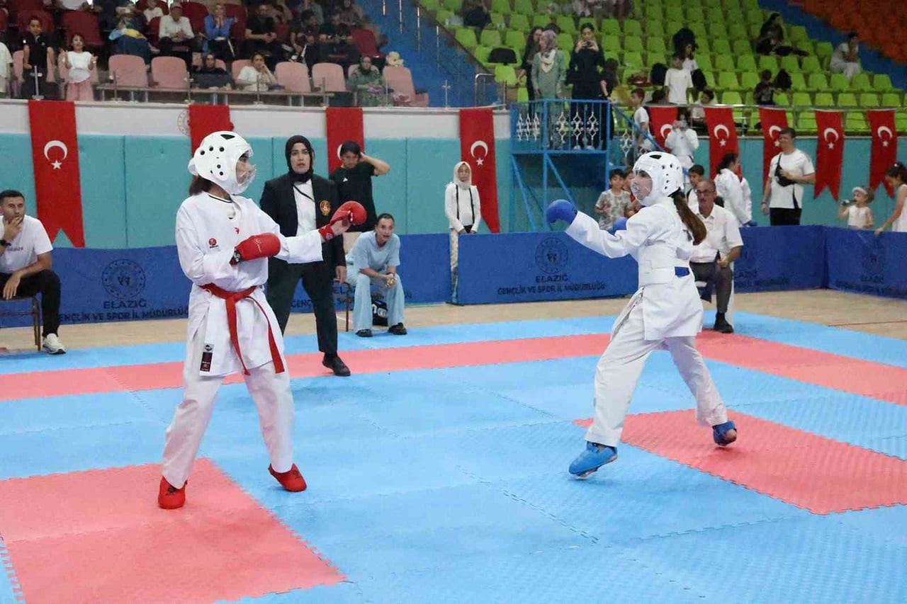 ELAZIĞ EV SAHİPLİĞİNDE DÜZENLENEN ANADOLU YILDIZLAR LİGİ (ANALİG) KARATE 1. ETAP 7. GRUP...
