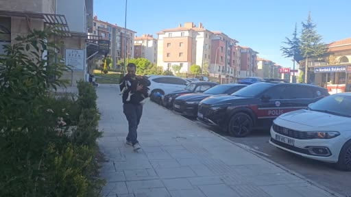 Elazığ'da 'Zeytin' isimli oğlak, mahallenin maskotu haline geldi