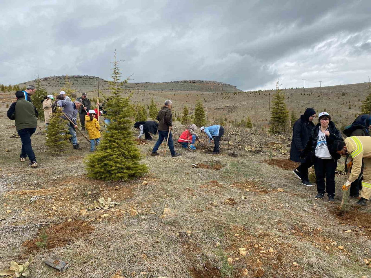 ELAZIĞ'DA FİDAN DİKİM ETKİNLİĞİ