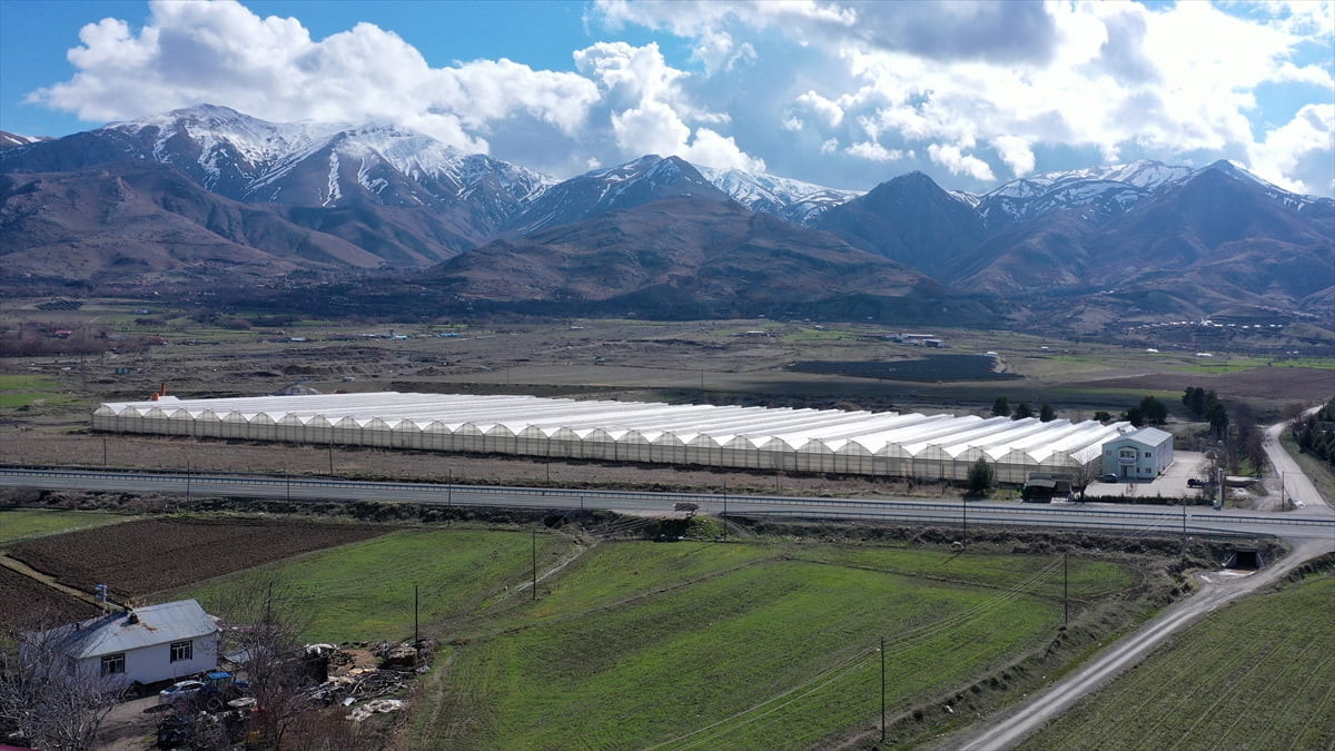 Elazığ'da güneş enerjisi santraliyle (GES) desteklenen serada topraksız tarım uygulamaları...