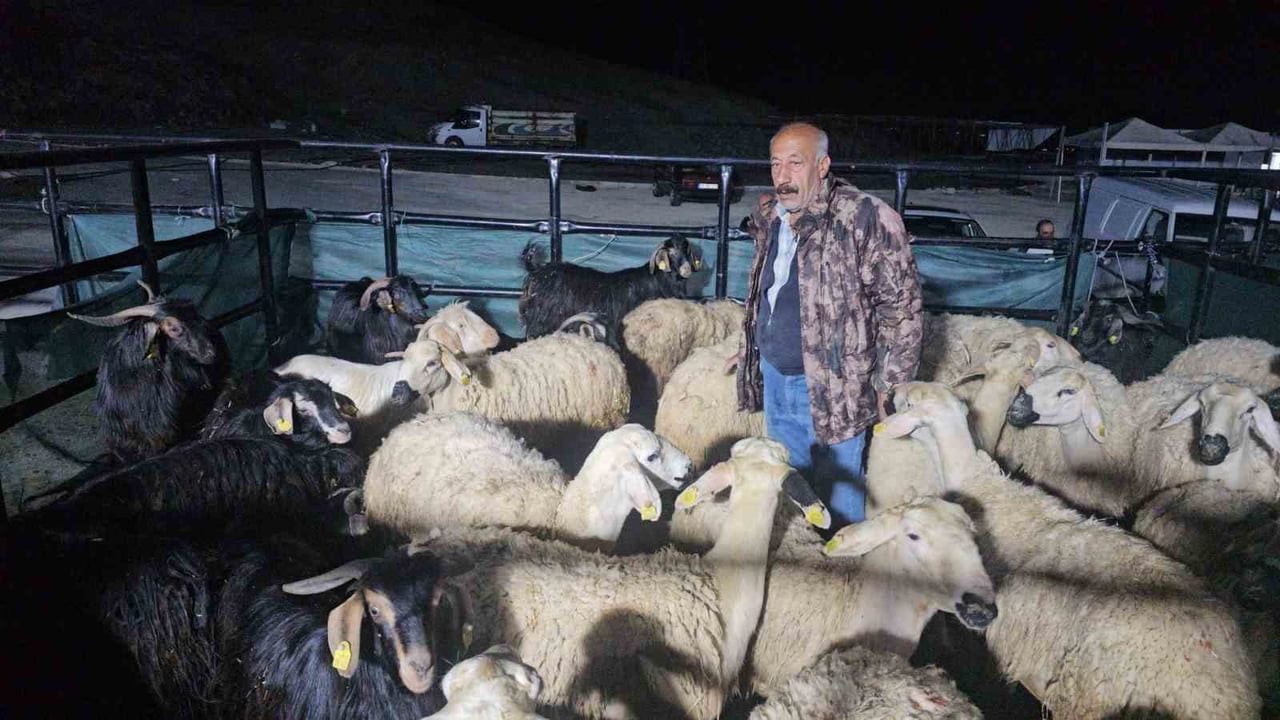 ELAZIĞ'DA KURBAN PAZARINDA UYKUSUZ MESAİ:GECEYİ HAYVANLARININ BAŞINDA GEÇİRİYORLAR