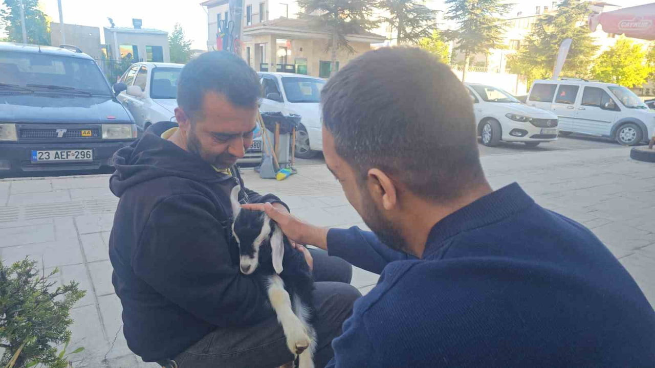 ELAZIĞ'DA MARKET SAHİBİ İLE OĞLAĞIN YÜREK ISITAN DOSTLUĞU