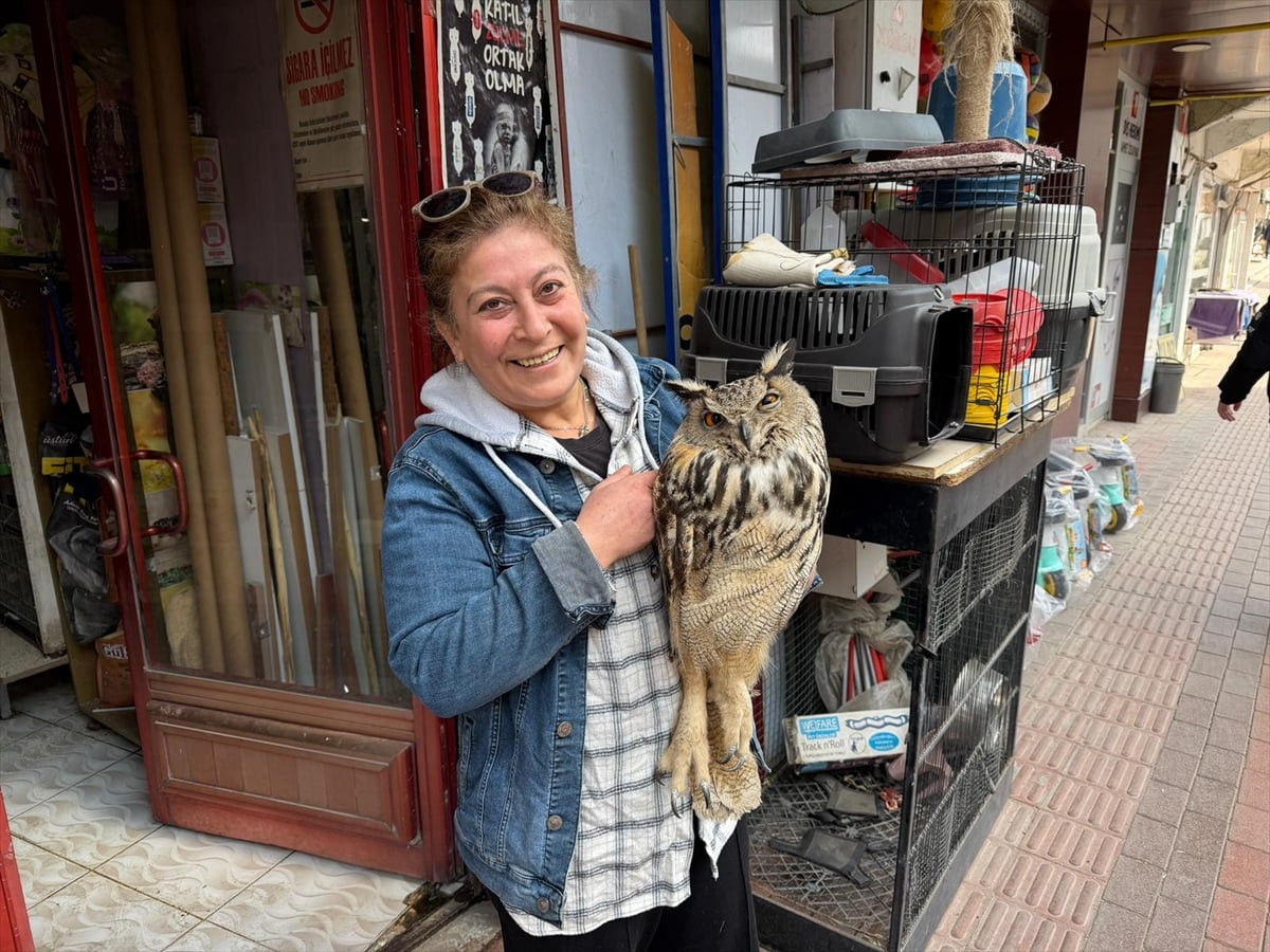  Elazığ'ın Karakoçan ilçesinde yaralı halde bulunan puhu tedavi altına alındı.