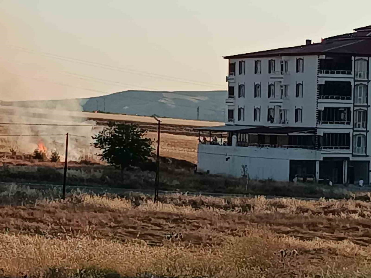 ELAZIĞ'IN PALU İLÇESİNDE BUĞDAY VE ARPA EKİLİ TARLADA ÇIKAN YANGINA İTFAİYE VE ORMAN EKİPLERİNİN...
