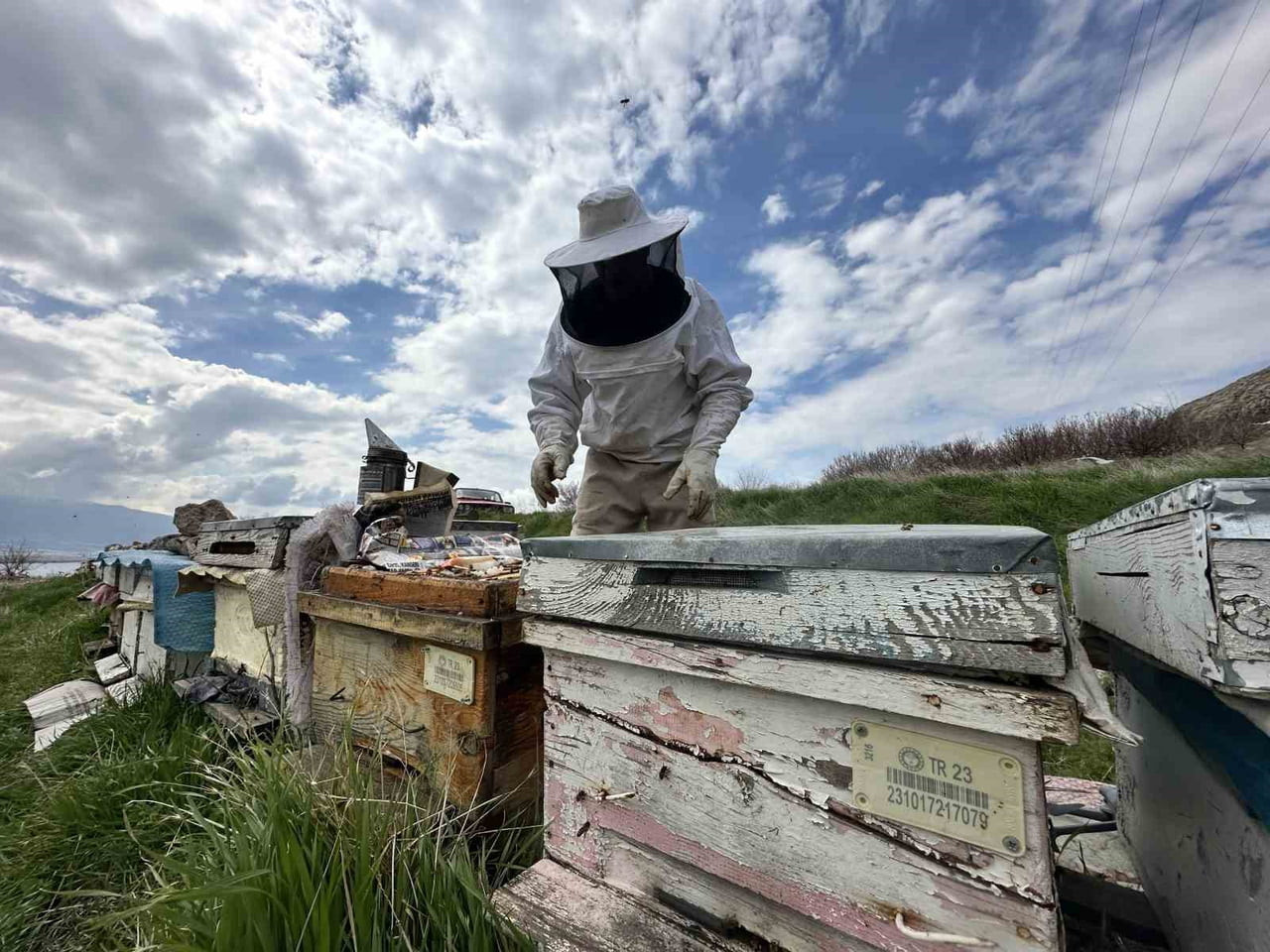 ELAZIĞ’DA ARICILAR, YAVRU DÖNEMİNE GİREN KOLONİLER İÇİN BESLEME ÇALIŞMALARINI SÜRDÜRÜYOR....