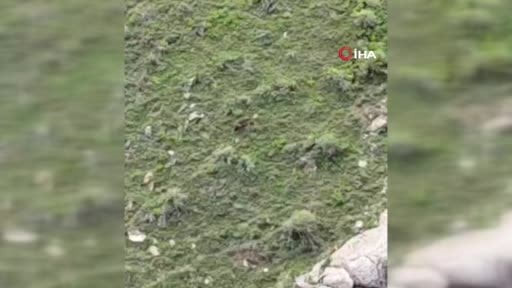 Elazığ’da dağlık alanda koşan ayı görüntülendi