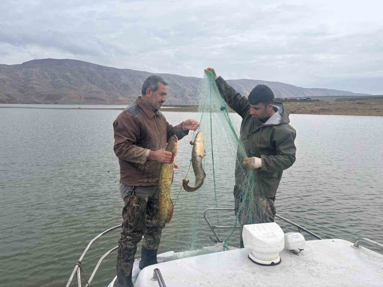ELAZIĞ’DA SU ÜRÜNLERİ ARAŞTIRMALARI SAHA ÇALIŞMALARI