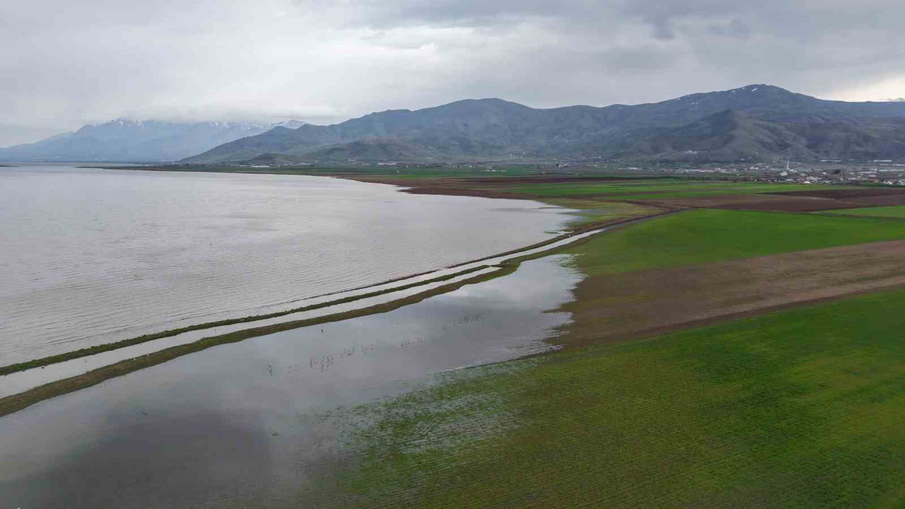 ELAZIĞ’DAKİ KEBAN BARAJI’NDA 2019 YILINDA KURAKLIK NEDENİYLE 4 KİLOMETRE GERİ ÇEKİLEN BARAJ...