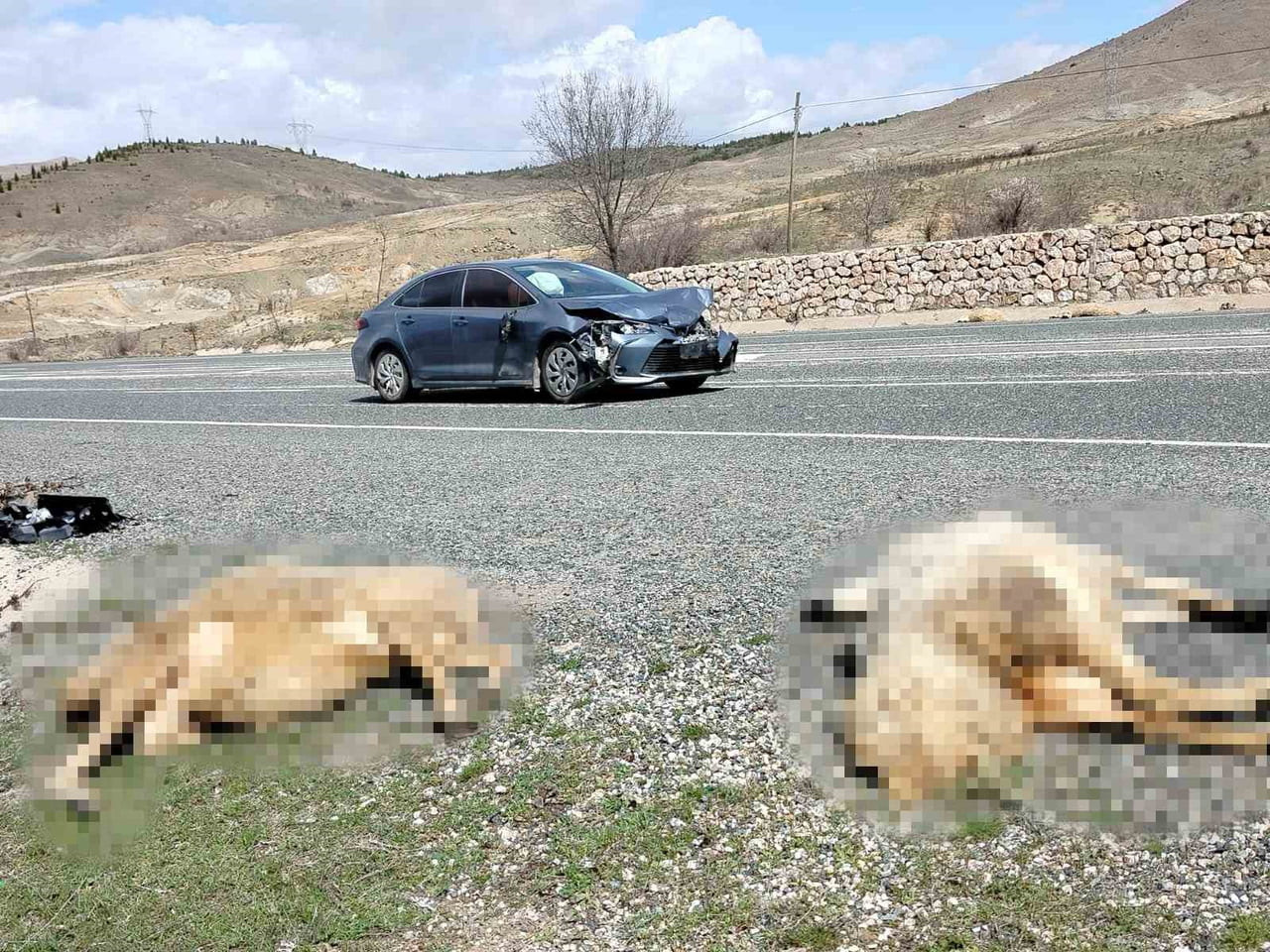 ELAZIĞ’IN KEBAN YOLUNDA MEYDANA GELEN TRAFİK KAZASINDA OTOMOBİL KOYUN SÜRÜSÜNE ÇARPTI. KAZADA 9...