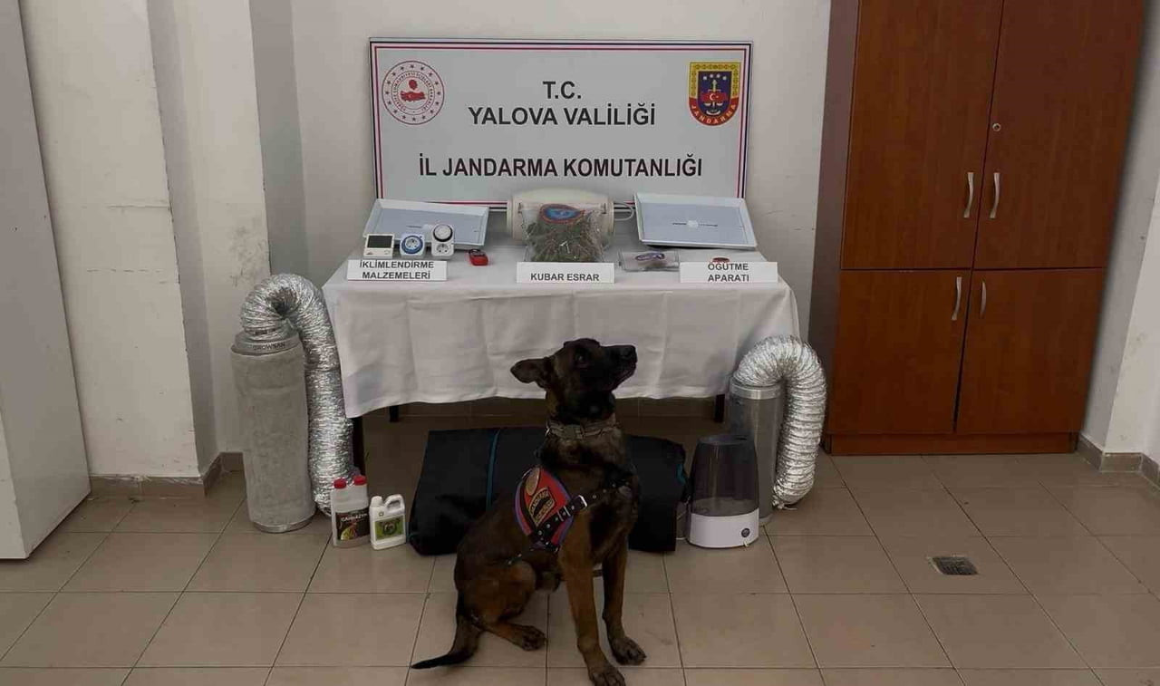 ELE GEÇİRİLENLER