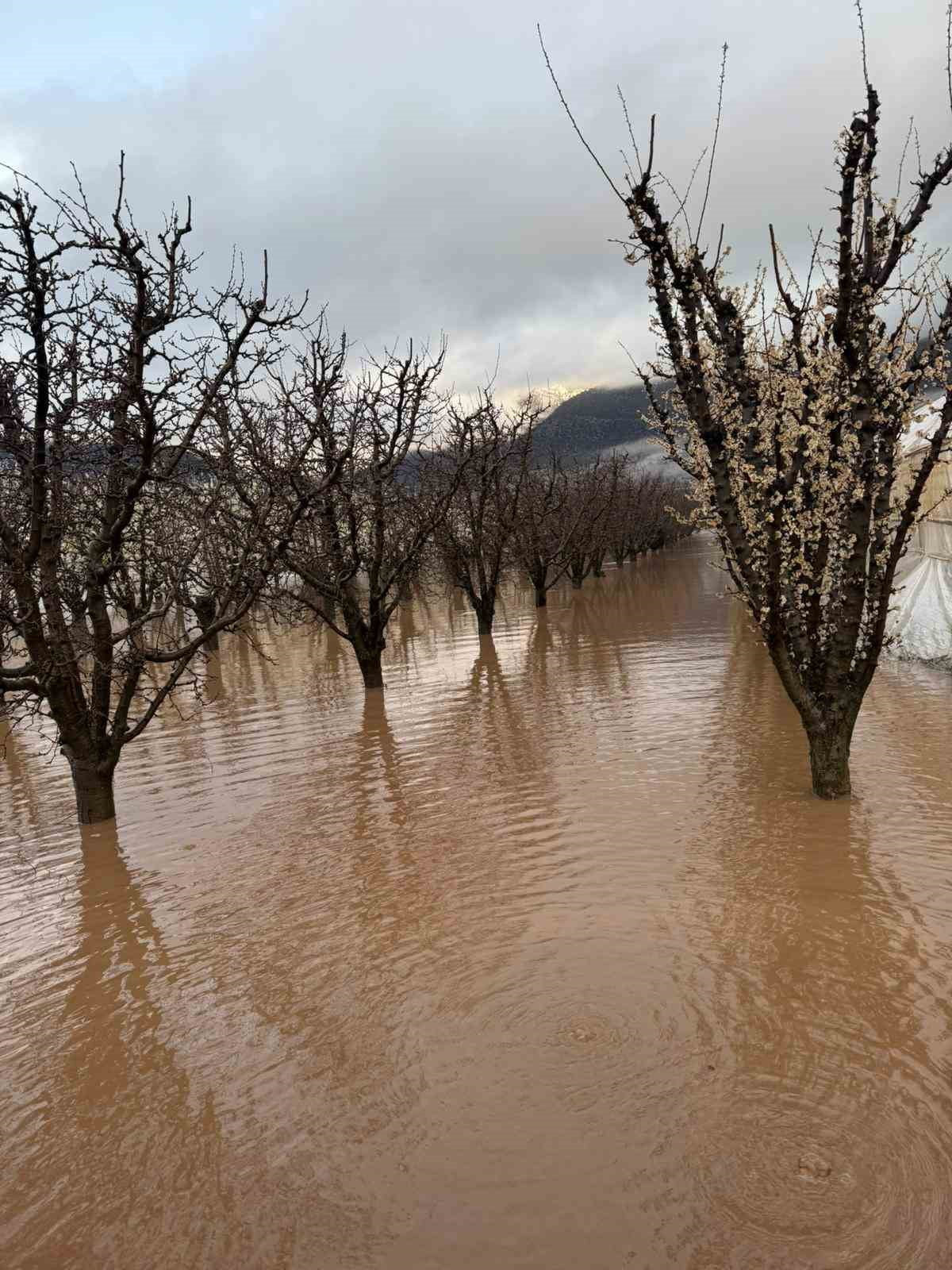 ELMALI İLÇESİNDE GECE SAATLERİNDE SAĞANAK NEDENİYLE DERELER TAŞTI, BAZI TARIM ARAZİLERİ SULAR...