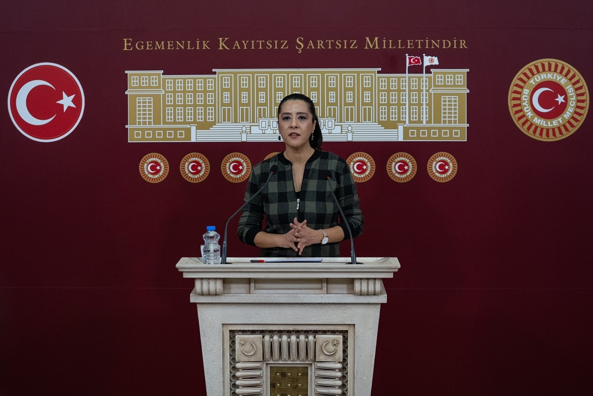 EMEP Gaziantep Milletvekili Sevda Karaca Demir, TBMM'de basın toplantısı düzenledi.