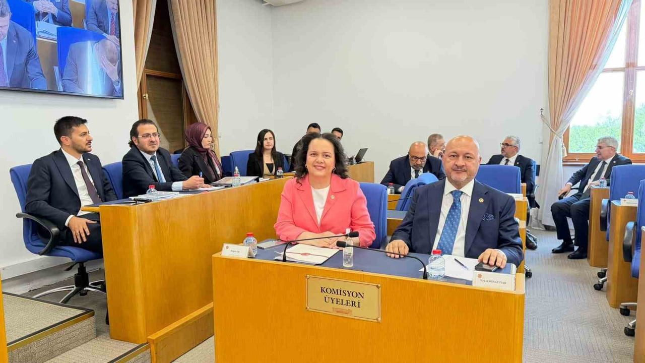 EMNİYET TEŞKİLATI, VERGİ VE BASINA YÖNELİK DÜZENLERİ İÇEREN  KANUN TEKLİFİNİN GÖRÜŞMELERİ PLAN VE...