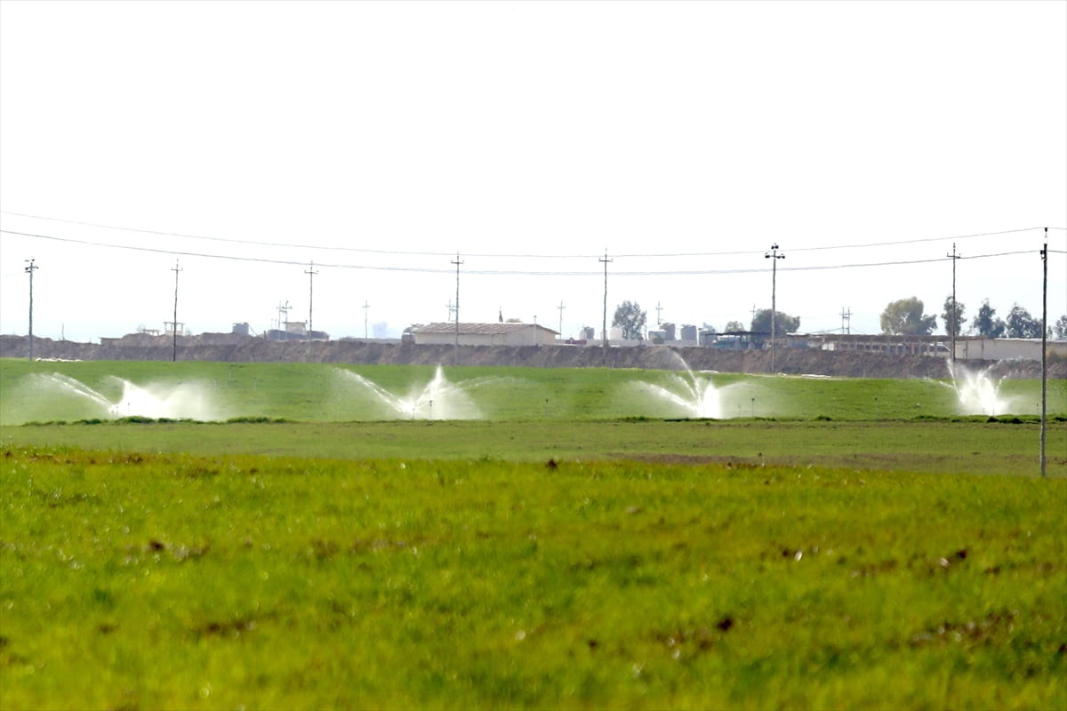  Erbil Valisi Ümid Hoşnav, Musul'un Mahmur bölgesinde bulunan Peşmerge-Fransız ortak askeri üssüne...
