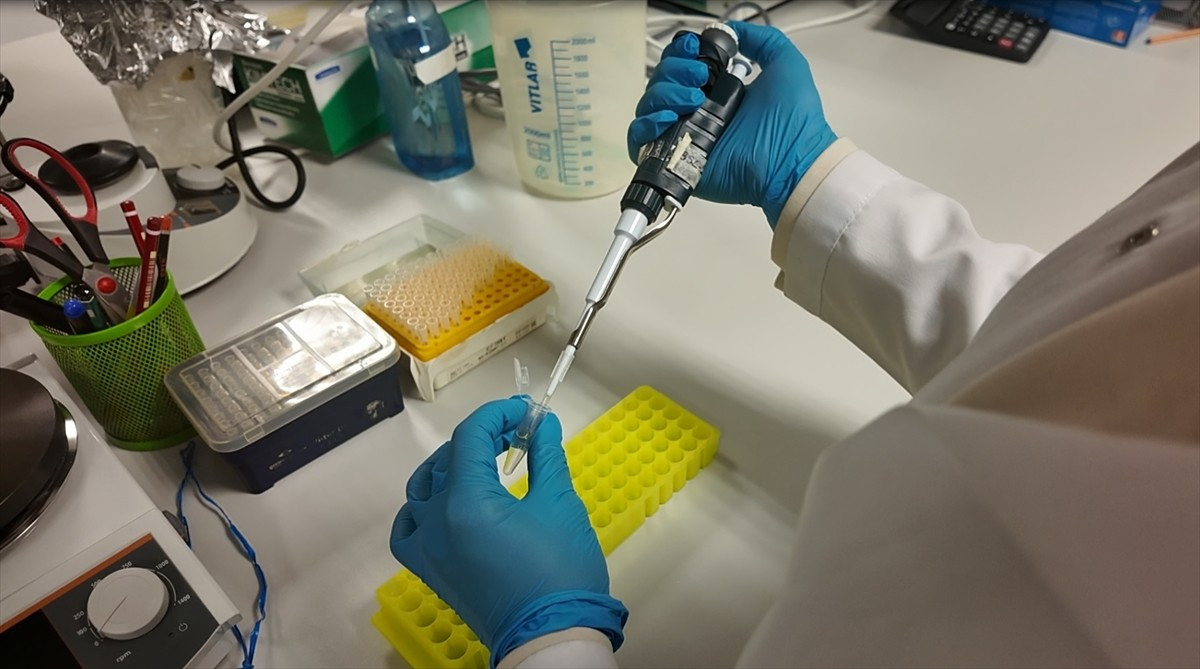 Erciyes Üniversitesince, yüksek vaka ve ölüm oranlarına sahip Kırım Kongo Kanamalı Ateşi (KKKA)...