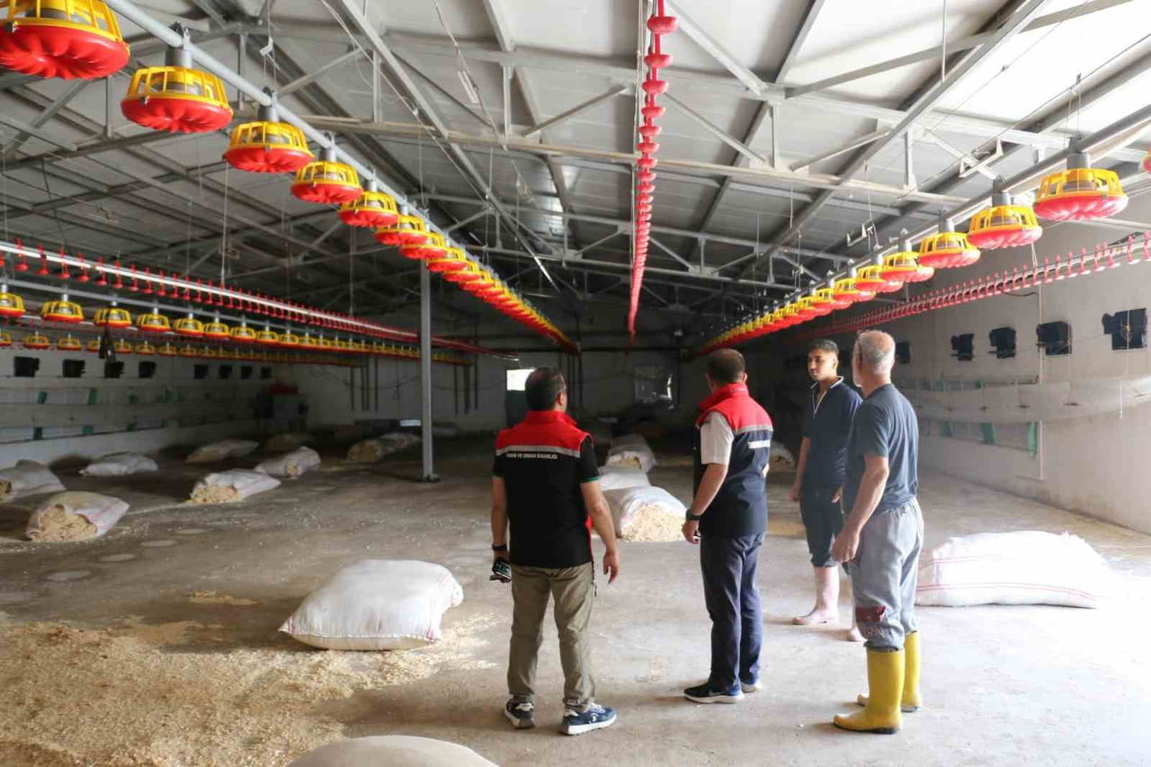 ERZİNCAN İL TARIM VE ORMAN MÜDÜRÜ ALPER KOÇAKER, MOLLAKÖY BELDESİ TEPECİK MAHALLESİ'NDE FAALİYET...