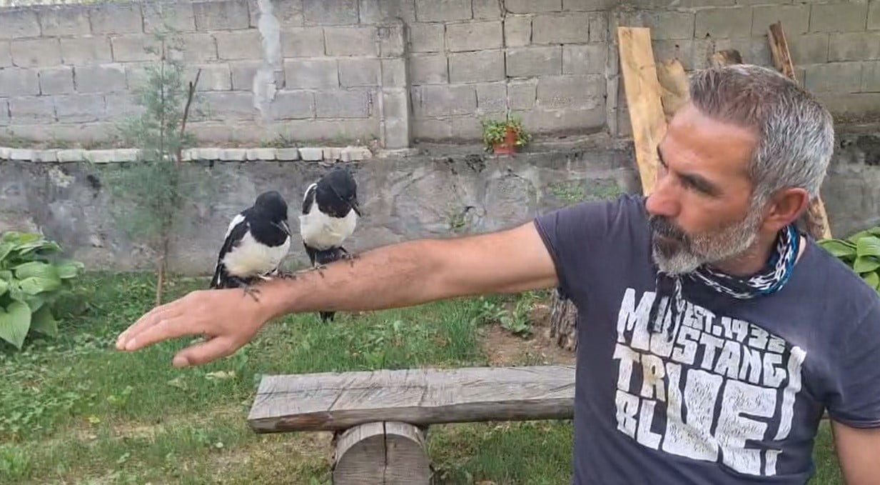 ERZİNCAN'DA AĞAÇTAN DÜŞEN YAVRU KUŞLARI SAHİPLENEREK DOĞAYA KAZANDIRIYOR