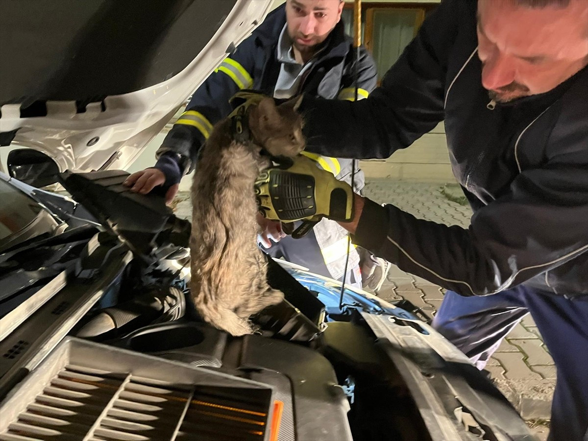 Erzincan'da bir aracın motor bölümüne giren kedi, itfaiye ekiplerinin çalışmasıyla...