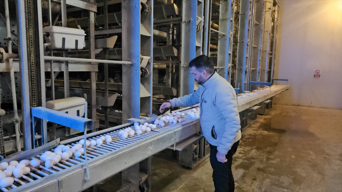 Erzincan'da, Tarım ve Kırsal Kalkınmayı Destekleme Kurumunun (TKDK) hibe desteğiyle kurulan modern...