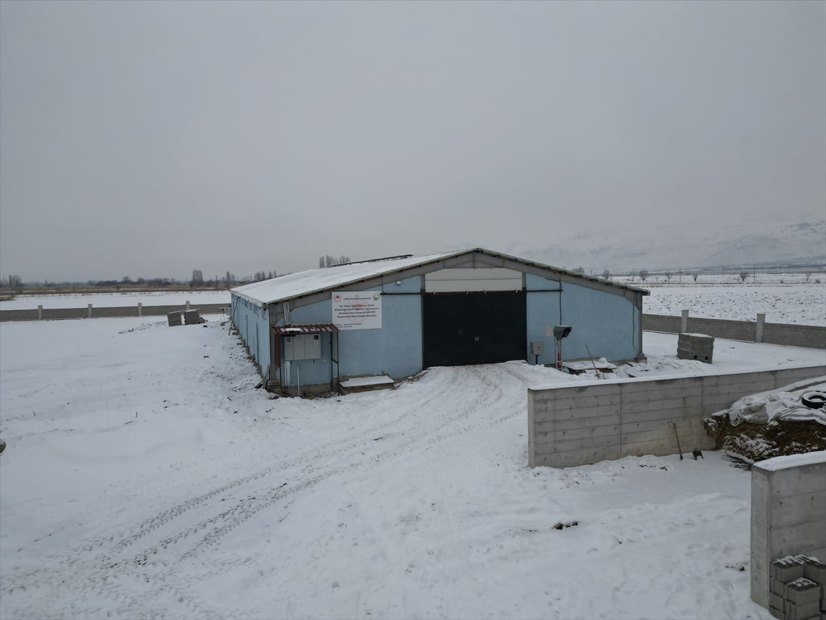 Erzincan'da yaşayan genç girişimci Sezer Andağ, yüzde 50 hibe destekli kurduğu modern işletmede...