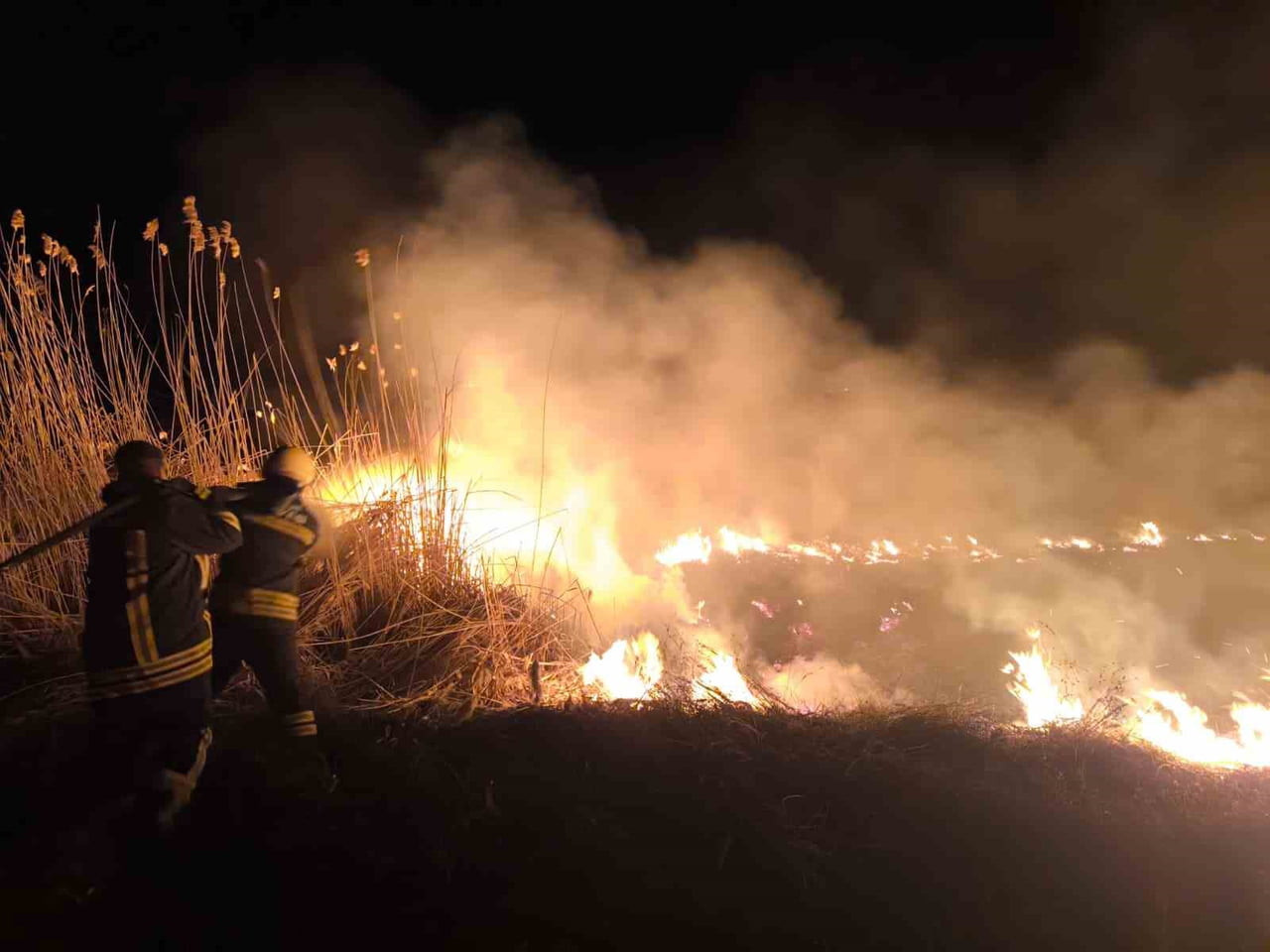 ERZİNCAN’DA ÇIKAN ANIZ YANGINI, İTFAİYE EKİPLERİNİN HIZLI MÜDAHALESİYLE BÜYÜMEDEN KONTROL ALTINA...