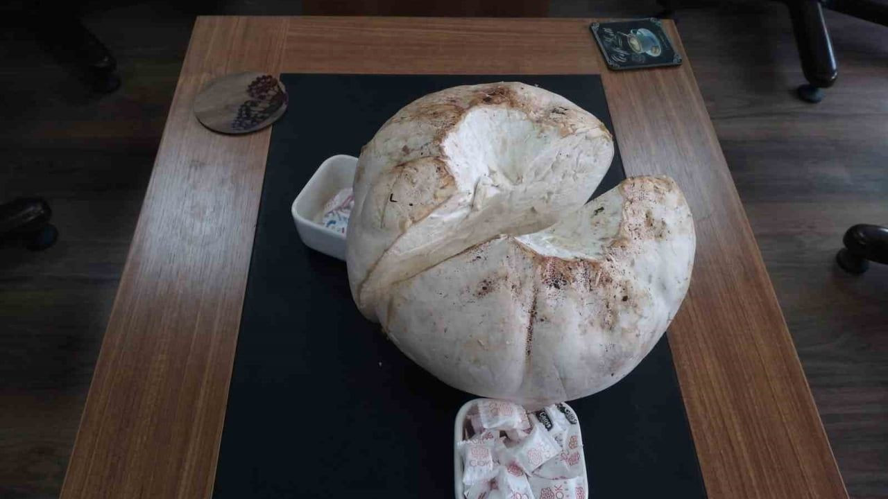 Erzincan'da Futbol Topuna Benzeyen Dev Mantar Bulundu