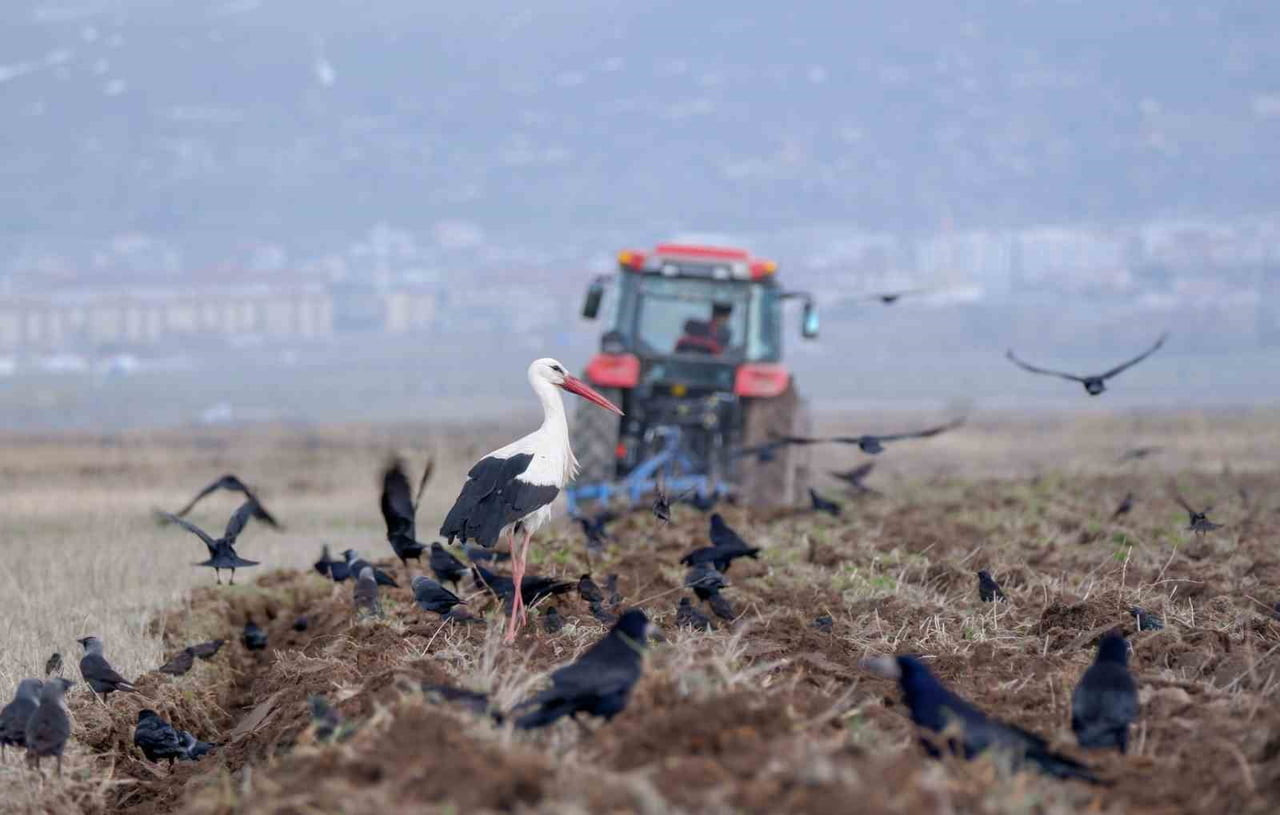 ERZİNCAN’DA ZİRAİ DON UYARISI