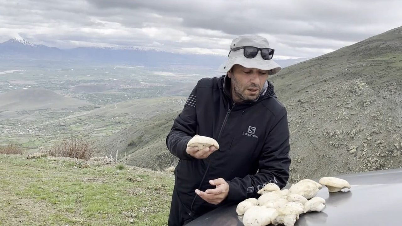 Erzincan'ın Çaşır Mantarı: Altınla Yarışan Bir Lezzet