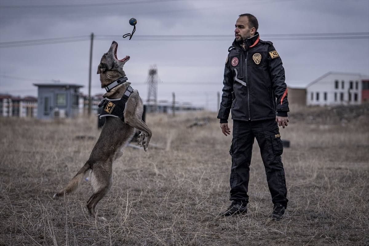 Erzurum İl Emniyet Müdürlüğü bünyesinde görev yapan Türkiye'nin sayılı kadavra köpeklerinden Melo...