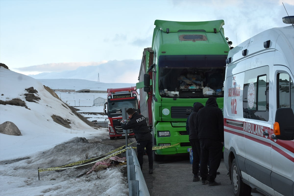 Erzurum'da arızalanan tırın yanında Gürcistan uyruklu sürücüsü ölü bulundu.