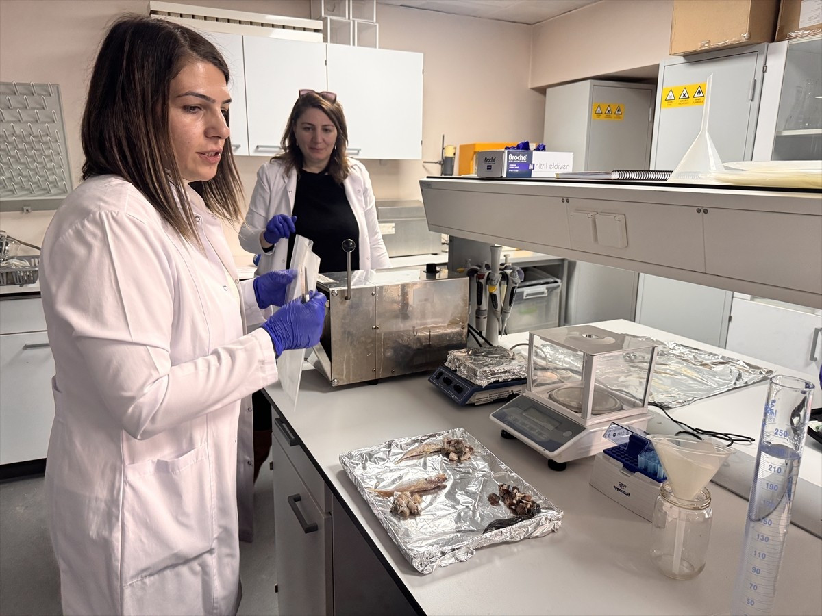 Erzurum'da Atatürk Üniversitesi Su Ürünleri Fakültesi Öğretim Üyesi Prof. Dr. Gonca Alak'ın...