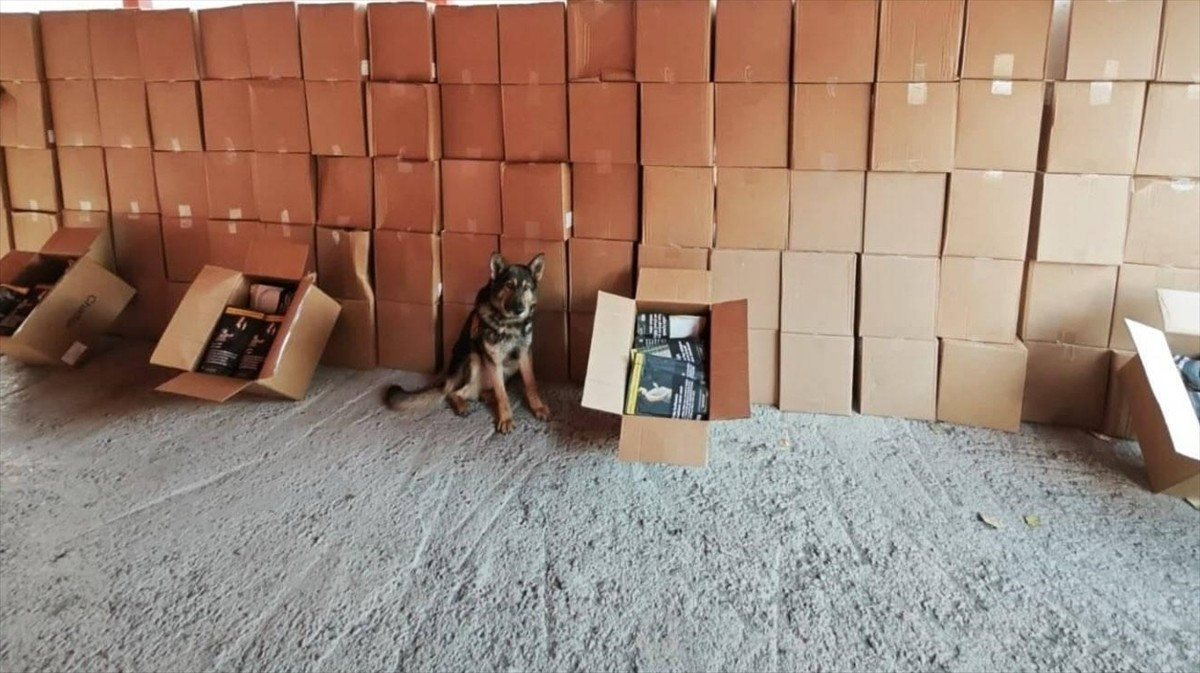 Erzurum'da kaçakçılık ve organize suçların önlenmesine yönelik yapılan çalışmalarda 28 şüpheli...