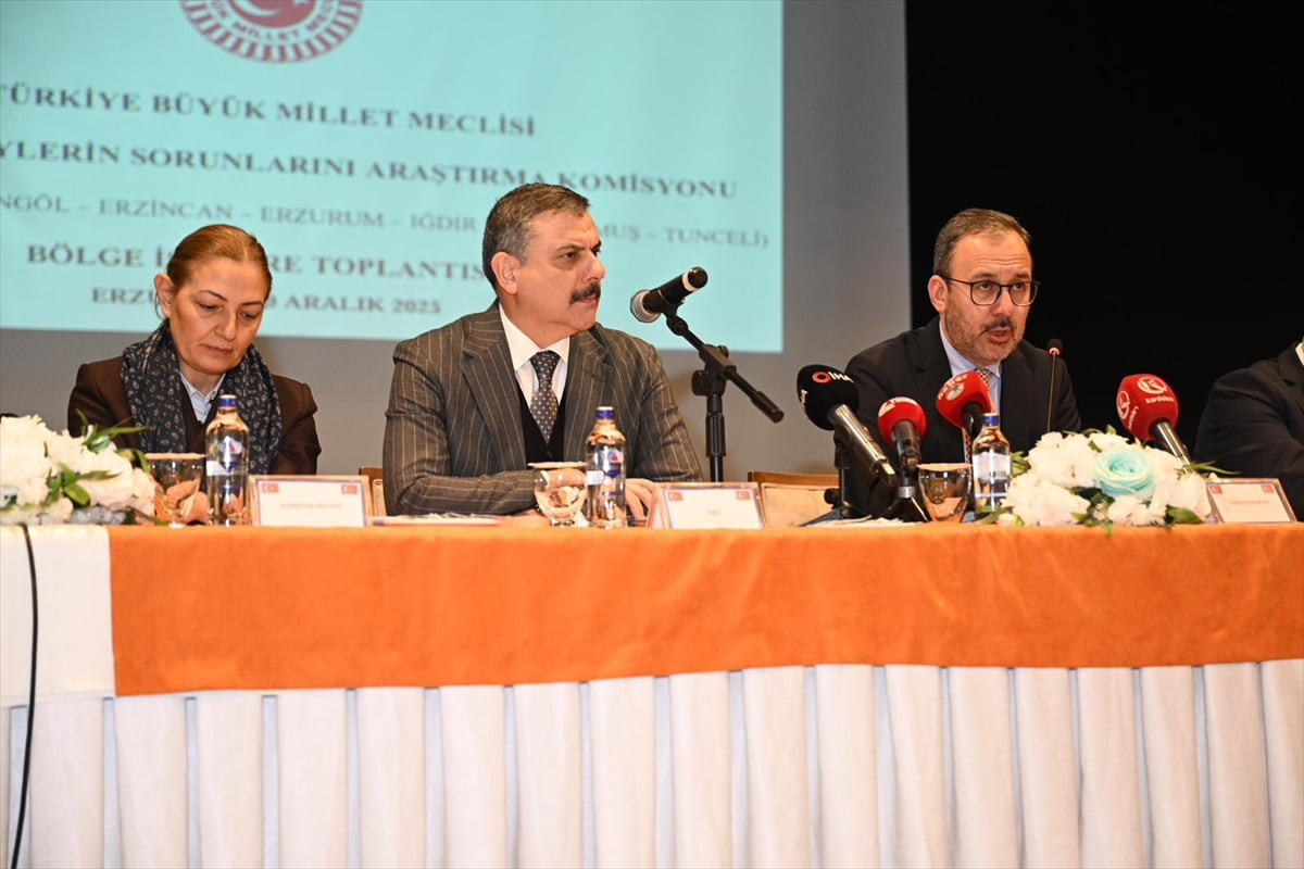 Erzurum'da Türkiye Büyük Millet Meclisi (TBMM) Engelli Bireylerin Sorunlarını Araştırma Komisyonu...