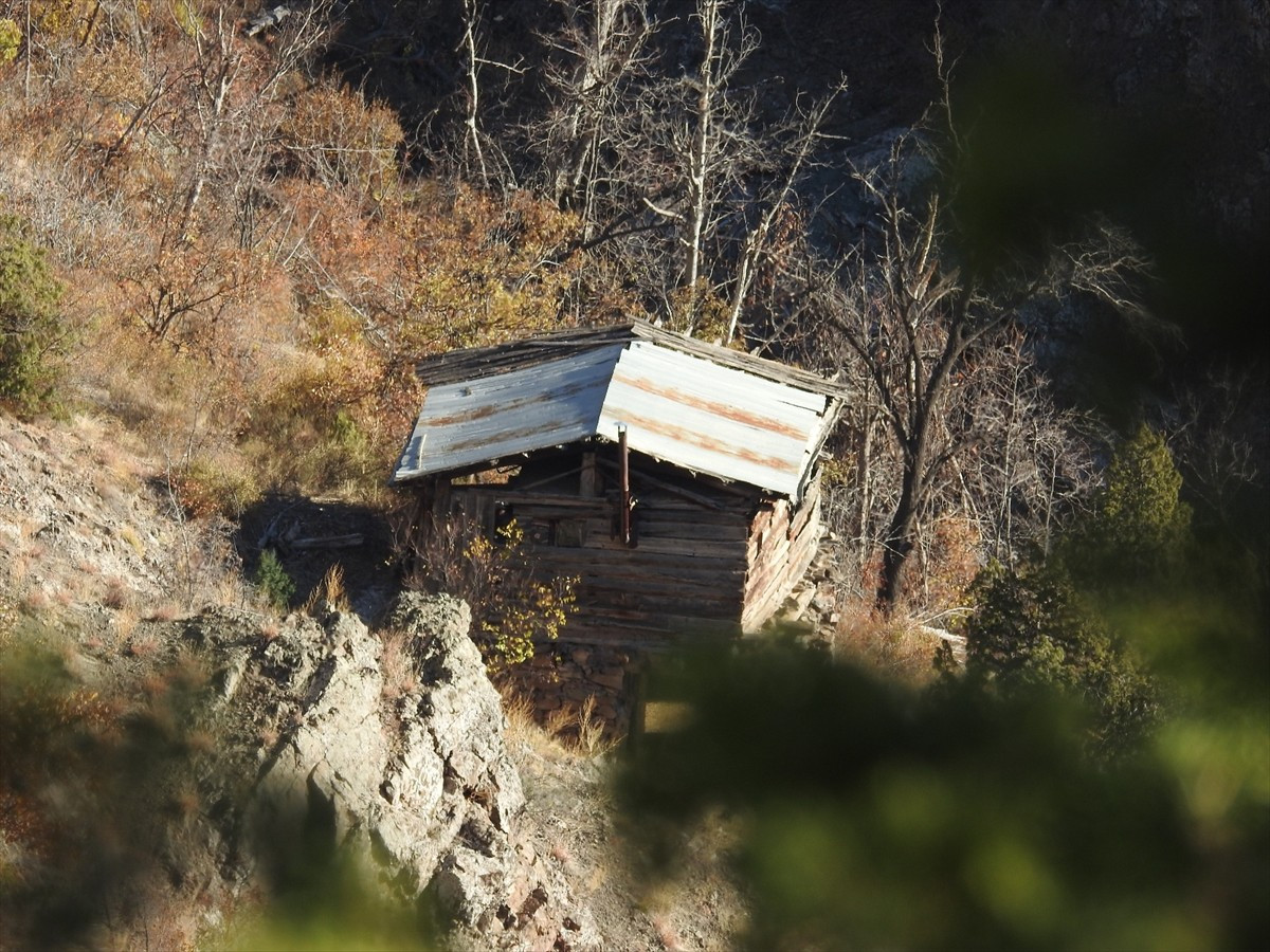Erzurum'un İspir ilçesinde ormanda yaban keçisi avlamak için kamuflajla arazide gizlenmeye çalışıp...