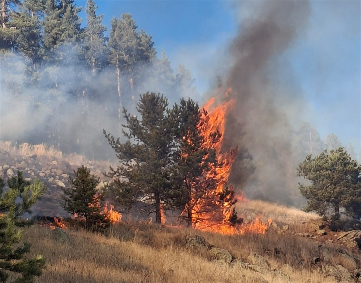 Erzurum'un Şenkaya ilçesinde çıkan orman yangınlarının ikisi kontrol altına alındı, birine...