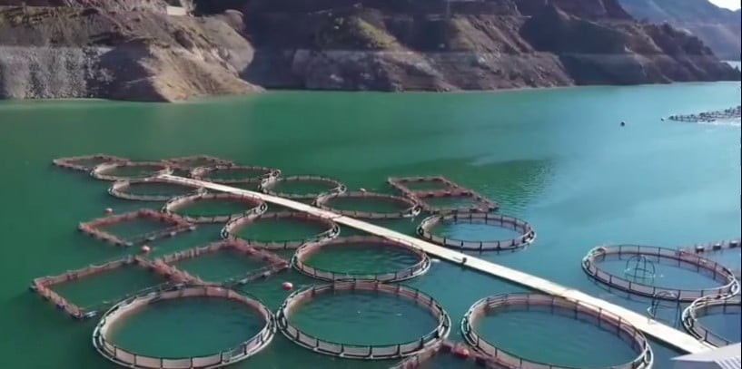 ERZURUM’DA TARIM VE KIRSAL KALKINMAYI DESTEKLEME KURUMU TARAFINDAN HAYATA GEÇİRİLEN YATIRIMLARIN...