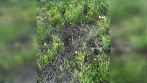 Erzurum’da trafik kazası: 3 ölü, 4 yaralı