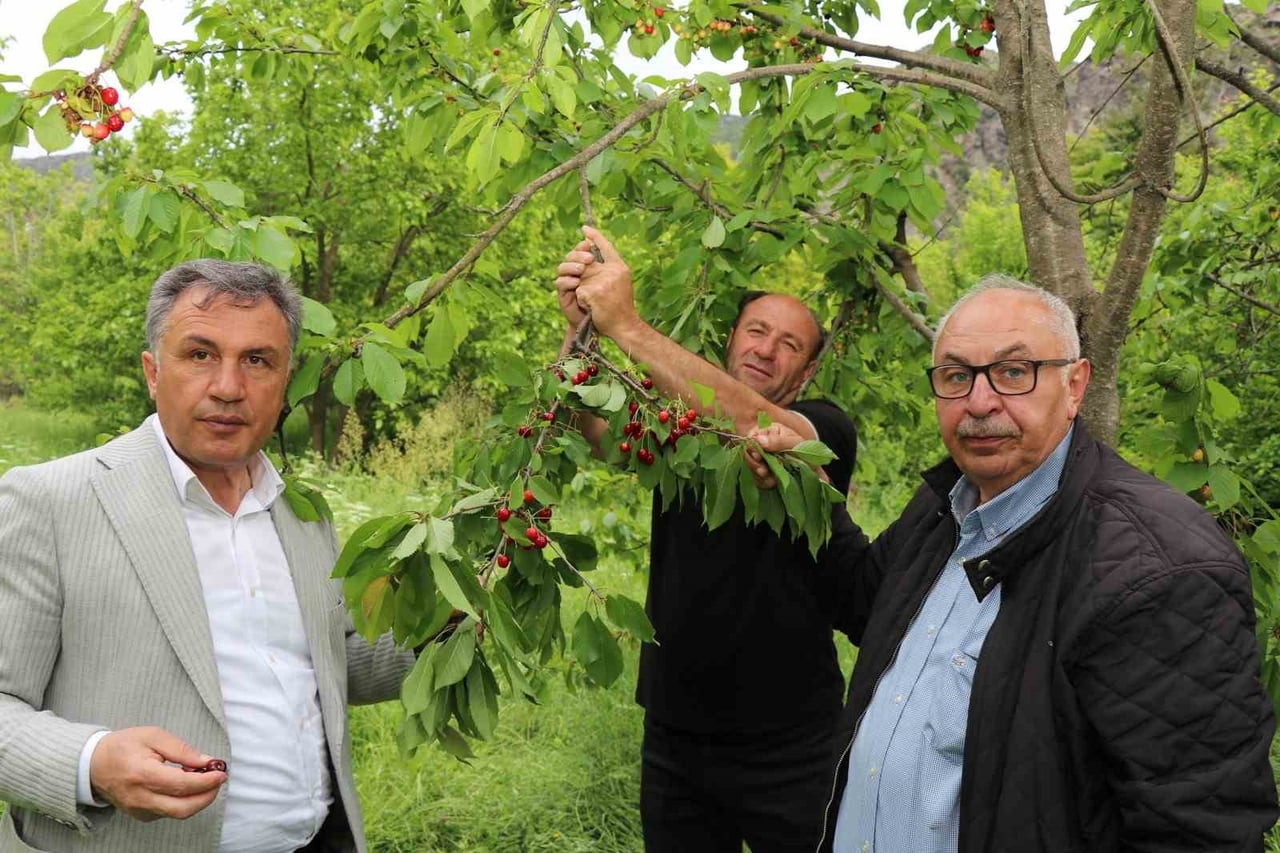 ERZURUM’UN DÜŞÜK RAKIMLI İLÇELERİNDEN OLTU’YA BAĞLI AYVALI MAHALLESİ’NDE YETİŞEN VE YÖRE HALKI...