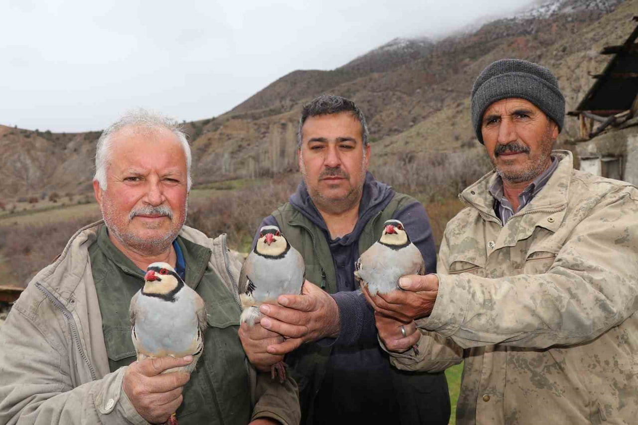 ERZURUM’UN OLTU İLÇESİNDE, KINALI KEKLİK POPÜLASYONUNUN SÜRDÜRÜLEBİLİRLİĞİNİ SAĞLAMAK VE TÜRLERİN...