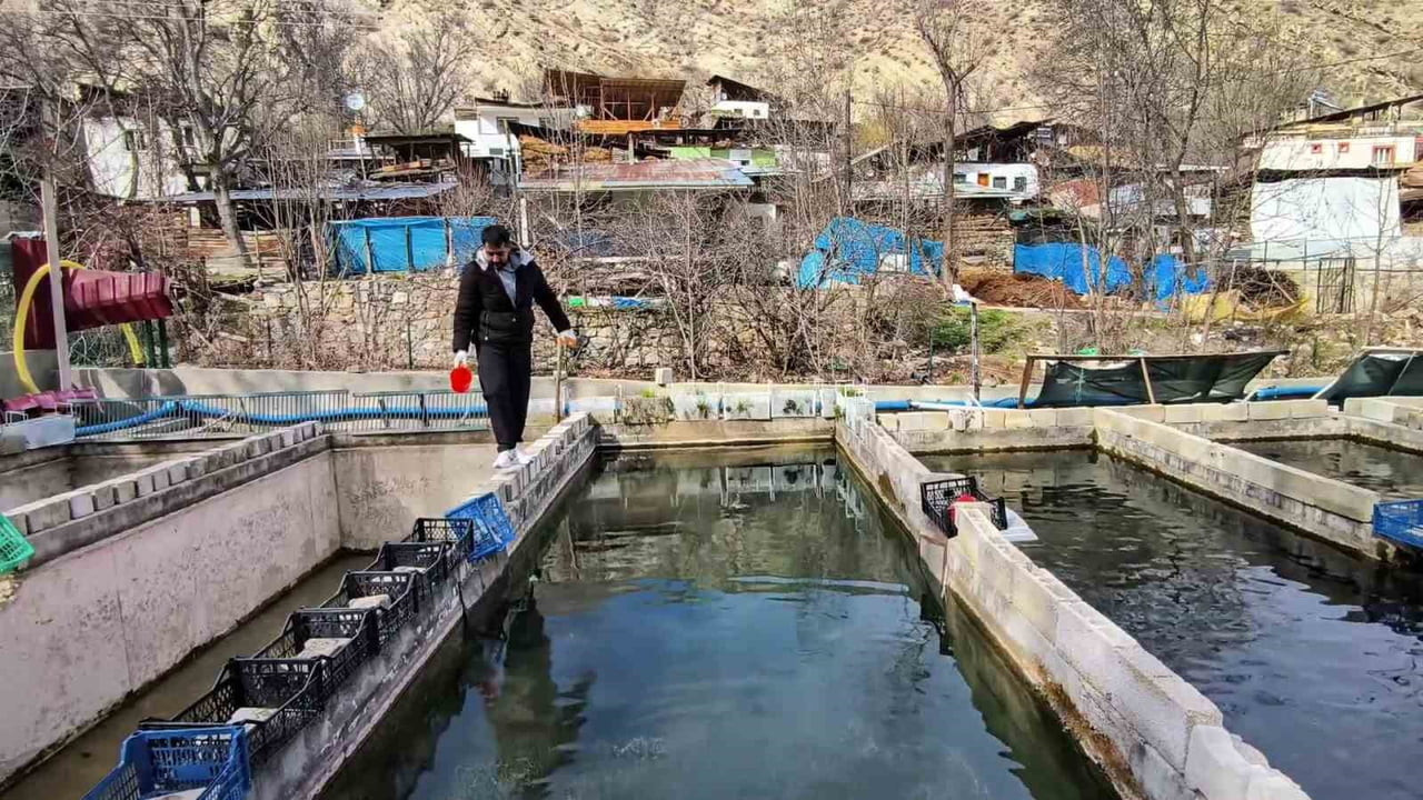 ERZURUM’UN TORTUM İLÇESİNE BAĞLI BAĞBAŞI MAHALLESİ’NDE BULUNAN ALABALIK TESİSİNDE GEÇTİĞİMİZ YIL...