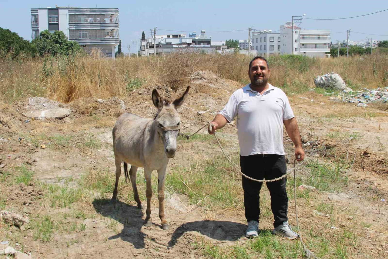 EŞEKLERİ BULAN HASAN AKTÜRK, "SAHİPSİZ ŞEKİLDE KOŞUYORLARDI, BİZDE YAKALAYIP BAĞLADIK. YEMİNİ...